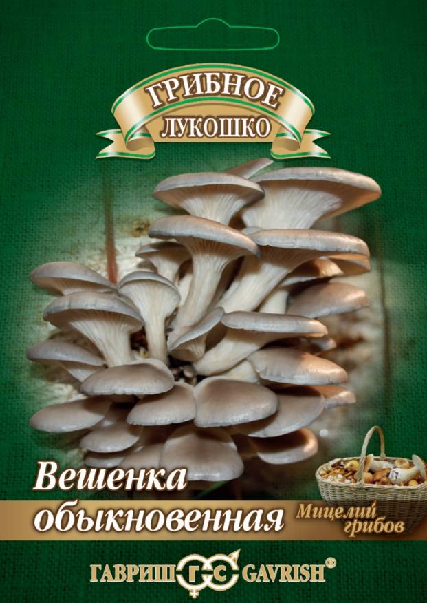 Мицелий Вешенка Обыкновенная на древесной палочке, 12 шт - фото