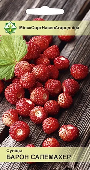 Семена Земляника Барон Солемахер, 100 шт - фото