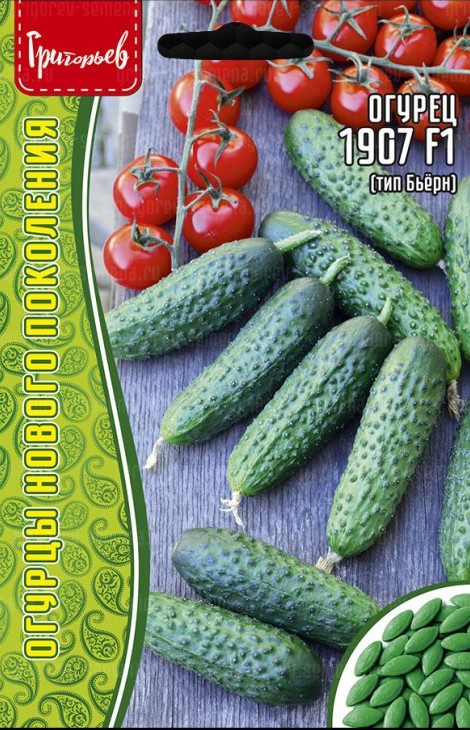 Семена Огурец 1907 F1 (тип Бьёрн), 10 шт - фото