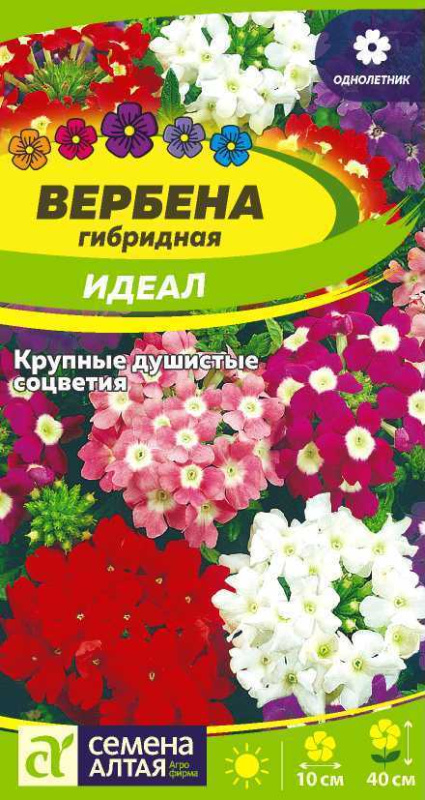 Семена Вербена Идеал гибридная, 0,05 г - фото