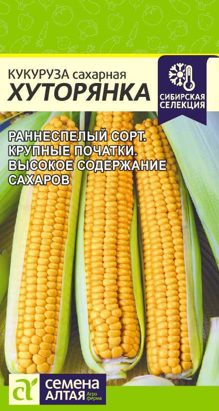 Семена Кукуруза Хуторянка, 3 г - фото