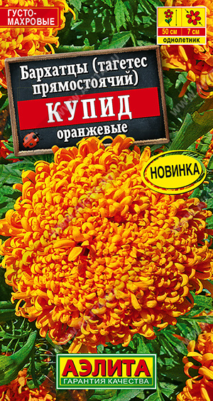 Семена Бархатцы Купид оранжевые хризантемовидные, 0,1 г - фото