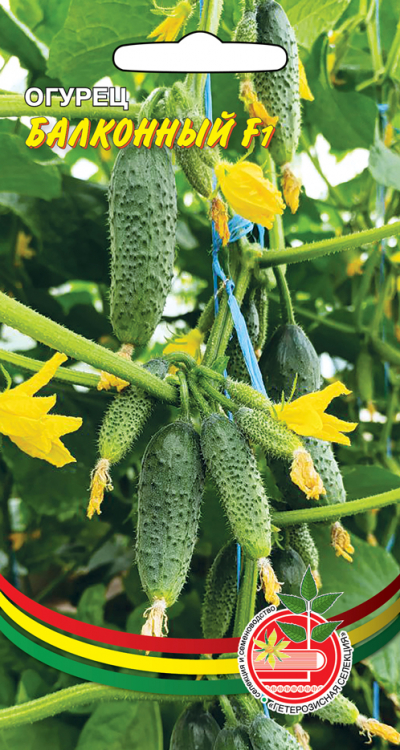 Семена Огурец Балконный, 5 шт - фото