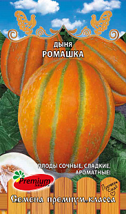 Семена Дыня Ромашка, 5 шт - фото