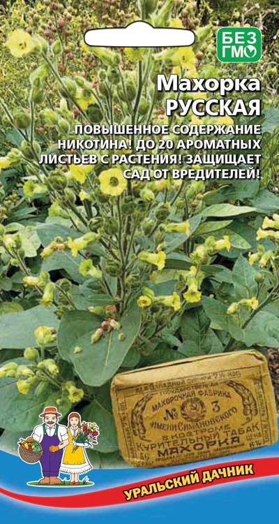 Семена Махорка Русская, 0,05 г УД - фото