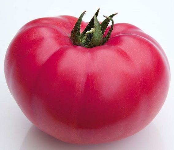 Семена Томат Каншин F1, 5 шт - фото