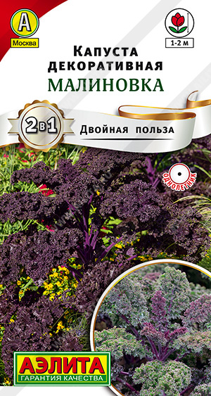 Семена Капуста декоративная Малиновка, 0,3 г - фото