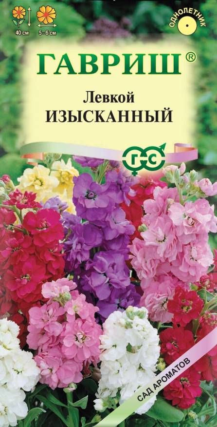 Семена Левкой седой Изысканный смесь, 0,05 г - фото