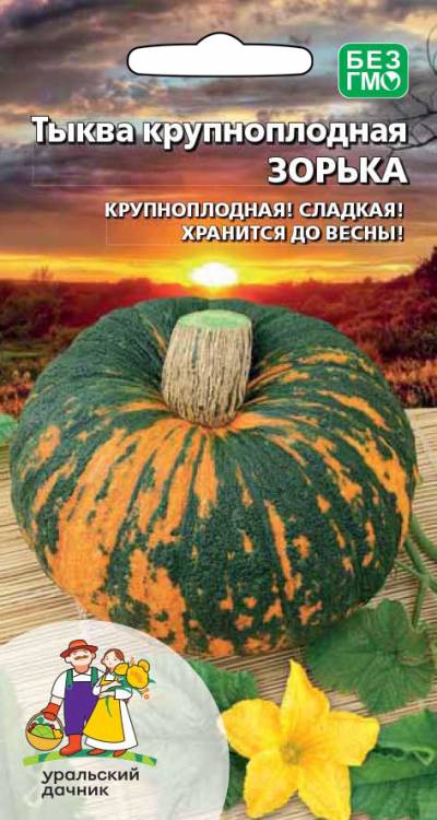 Семена Тыква крупноплодная Зорька, 6 шт - фото, картинка Семена Тыква крупноплодная Зорька, 6 шт - фото