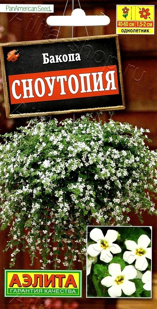 Семена Бакопа Сноутопия, 3 шт - фото