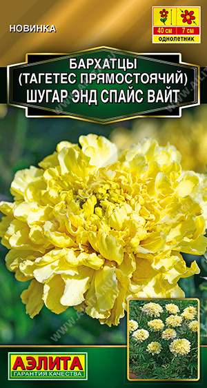Семена Бархатцы Шугар энд спайс вайт прямостоячие, 10 шт - фото