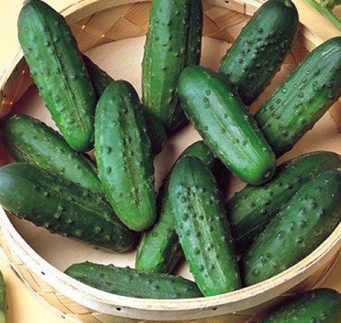 Семена Огурец Наташа микс F1, 50 шт - фото