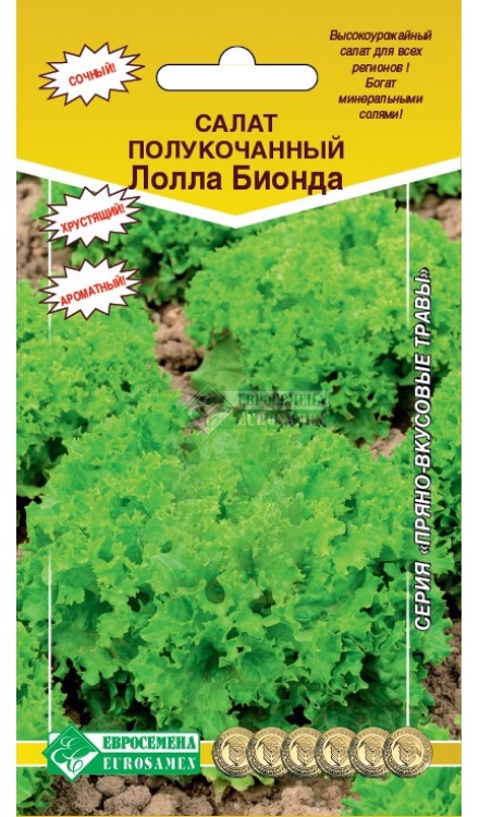 Семена Салат полукочанный Лолла Бионда, 1 г - фото