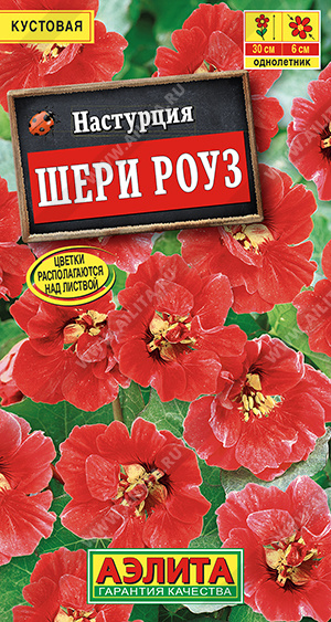 Семена Настурция Шери Роуз карликовая, 1 г - фото