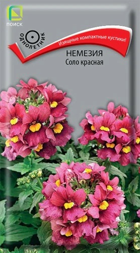 Семена Немезия Соло Красная, 0,05 г - фото