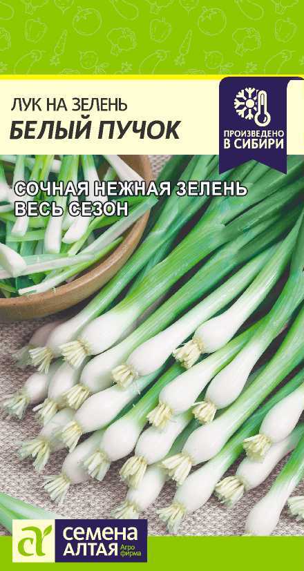Семена Лук на зелень Белый Пучок, 0,3 г - фото