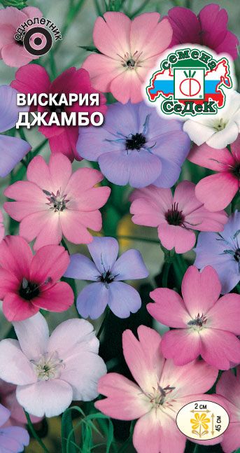 Семена Вискария Джамбо, 0,1 г - фото