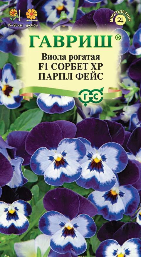 Семена Виола рогатая (Анютины глазки) Сорбет XP Парпл Айс F1, 4 шт - фото
