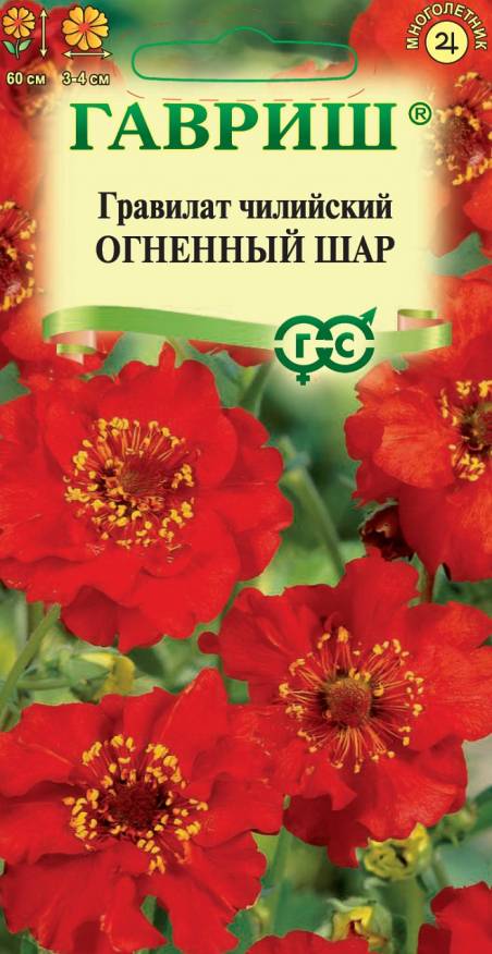 Семена Гравилат чилийский Огненный шар, 0,05 г - фото