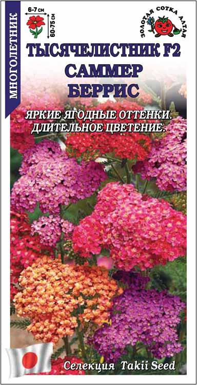 Семена Тысячелистник Саммер Беррис, 5 шт - фото
