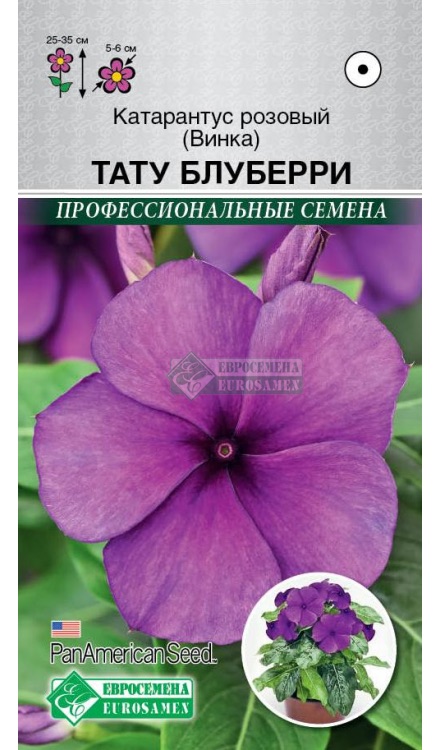 Семена Катарантус розовый (Винка) Тату Блуберри, 5 шт - фото