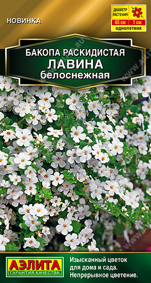 Семена Бакопа раскидистая Лавина белоснежная, 3 шт - фото