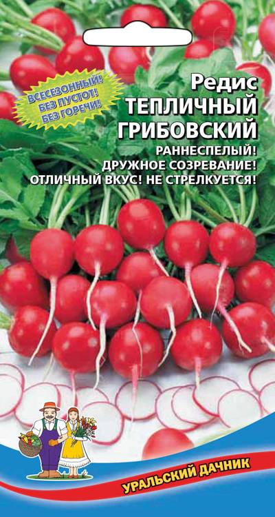Семена Редис Тепличный Грибовский, 2 г - фото