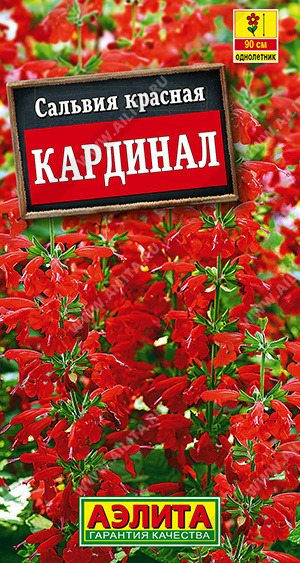 Семена Сальвия Кардинал красная, 0,1 г - фото