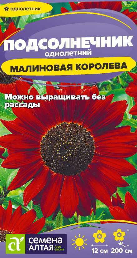 Семена Подсолнечник Малиновая Королева, 0,5 г - фото