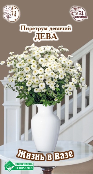 Семена Пиретрум девичий Дева, 5 шт - фото