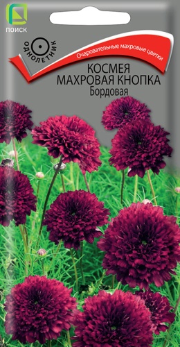 Семена Космея Махровая кнопка Бордовая, 0,1 г - фото