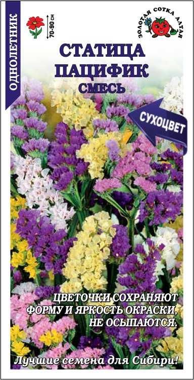 Семена Статица Пацифик смесь, 0,1 г - фото