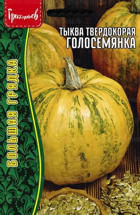 Семена Тыква Голосемянка твердокорая, 1 г ИП Григорьев - фото, картинка Семена Тыква Голосемянка твердокорая, 1 г ИП Григорьев - фото