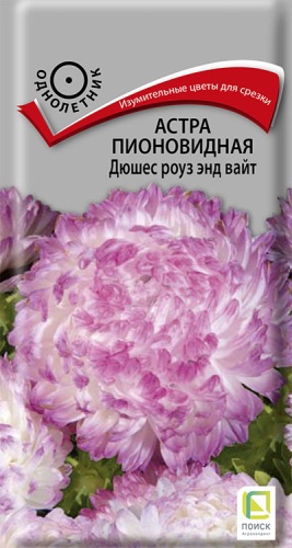 Семена Астра пионовидная Дюшес роуз энд вайт, 0,3 г - фото