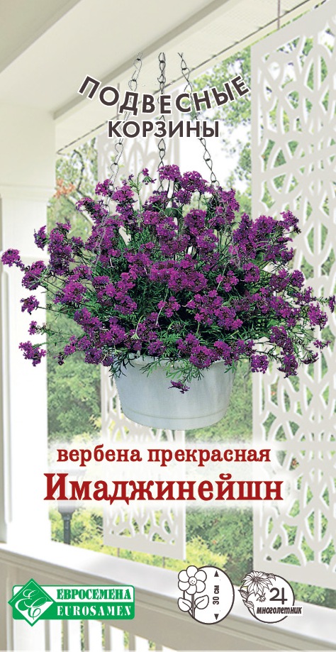 Семена Вербена прекрасная Имаджинейшен, 5 шт - фото