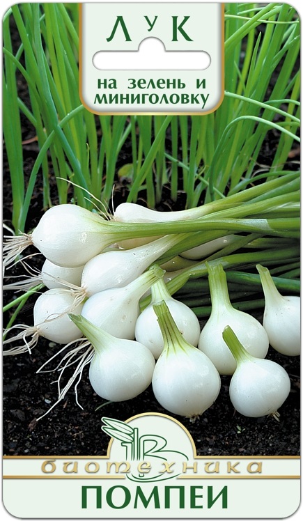 Семена Лук на зелень и мини-головку Помпеи, 0,5 г - фото