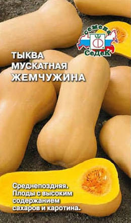 Семена Тыква Жемчужина мускатная, 1 г - фото