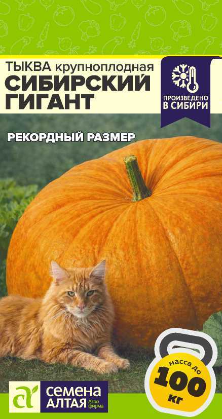Семена Тыква Сибирский Гигант, 2 г - фото