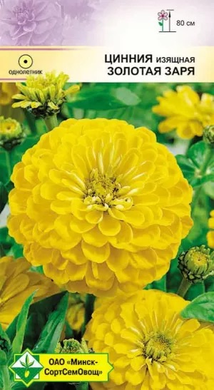 Семена Цинния изящная Золотая заря, 0,5 г - фото