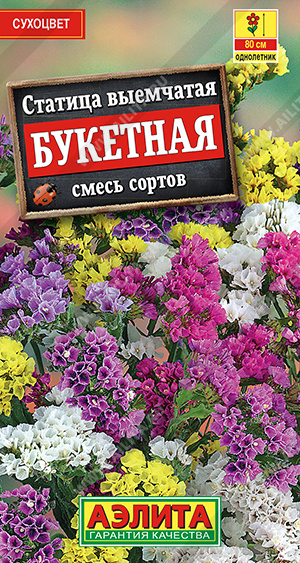 Семена Статица Букетная смесь сортов, 0,1 г - фото