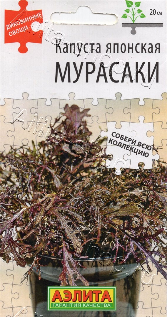 Семена Капуста японская Мурасаки, 0,5 г - фото