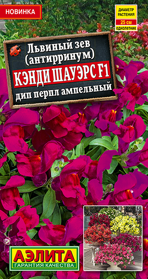 Семена Львиный зев Кэнди Шауэрс F1 дип перпл ампельный, 7 шт - фото
