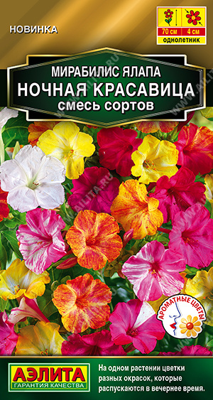 Семена Мирабилис Ночная красавица смесь сортов, 1 г - фото