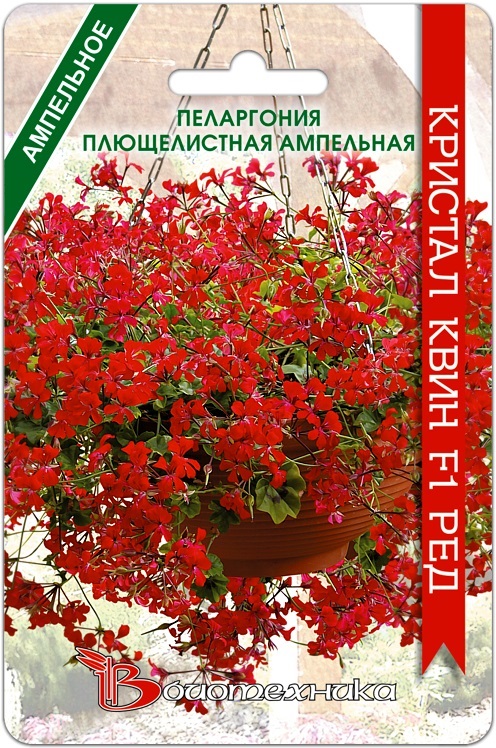 Семена Пеларгония плющелистная ампельная Кристал Квин F1 Ред, 5 шт - фото