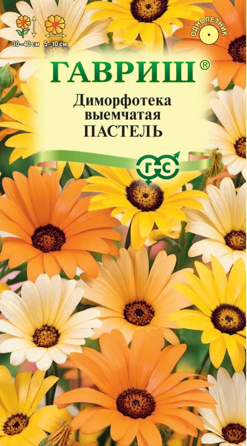 Семена Диморфотека Пастель смесь, 0,1 г - фото