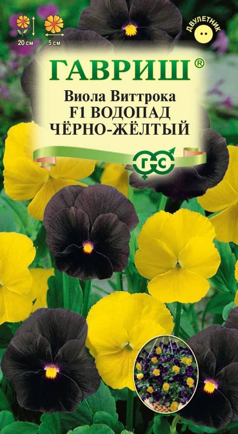 Семена Виола Водопад черно-желтый F1, 5 шт - фото