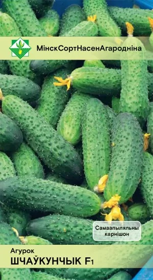 Семена Огурец Щелкунчик F1, 7 шт - фото