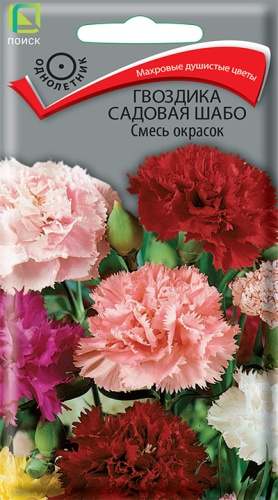 Семена Гвоздика садовая Шабо Смесь окрасок, 0,3 г - фото