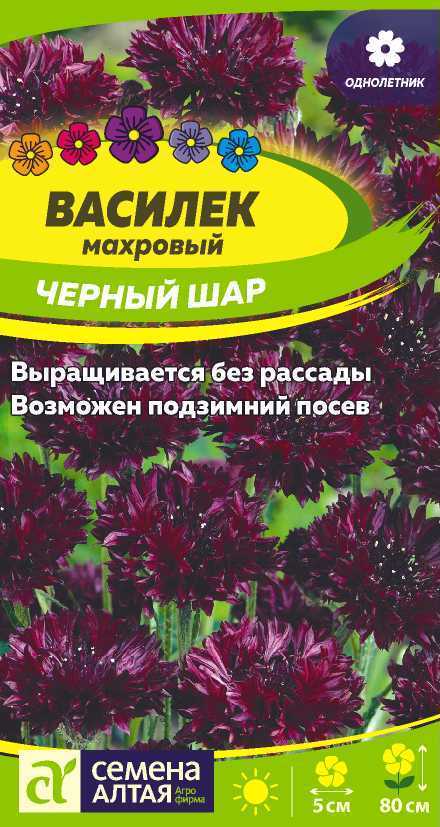 Семена Василек Черный шар махровый, 0,5 г - фото