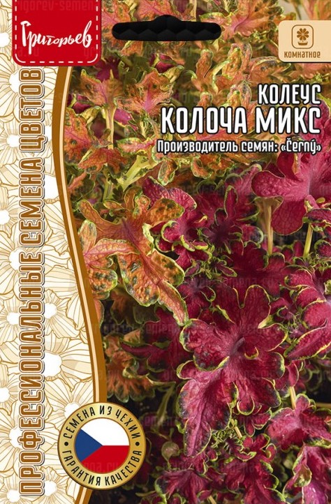 Семена Колеус Колоча Микс, 5 шт - фото